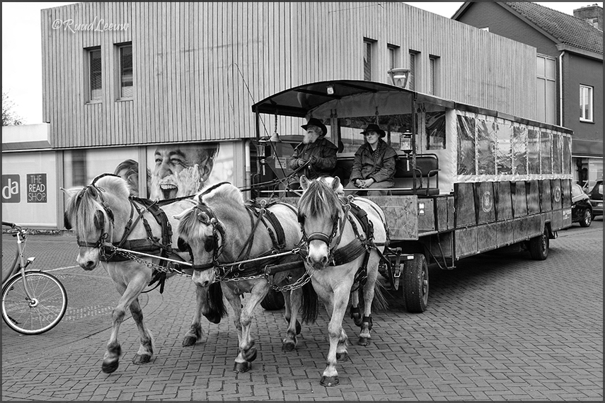 Lammetjesdag @Rheden (Gelderland)
